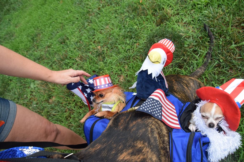 dog show 6-2019 026 (1024x683).jpg